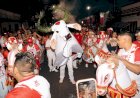 Com multidão nas ruas, Garantido mantém tradição da Matança do Boi e encerra temporada bovina em Parintins