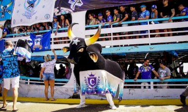 ‘Caravana Azulada’ organiza viagem para lançamento do álbum Caprichoso 2026