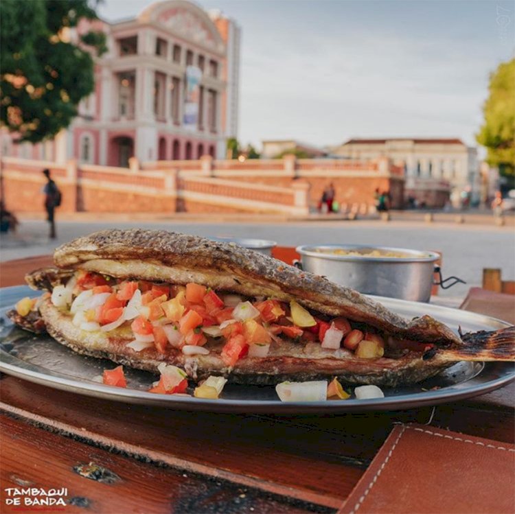 Natureza e gastronomia: saiba por que Manaus é tendência global em 2026