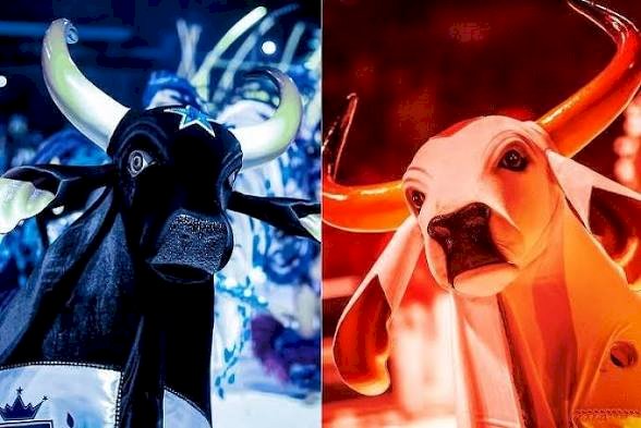Festival de Parintins 2026 inicia programação oficial na ilha com sorteio dos bois, ensaios e grandes eventos culturais